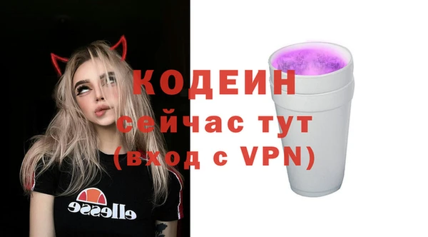 соль ск Абаза
