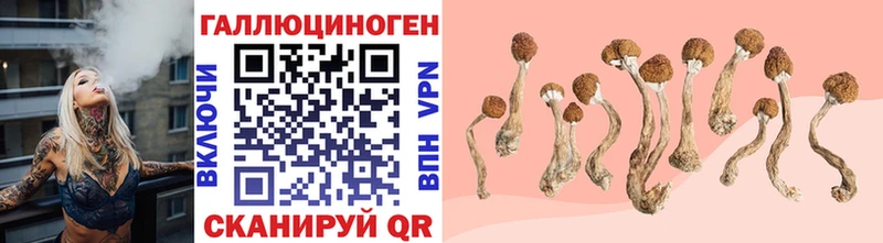 Галлюциногенные грибы Magic Shrooms  дарнет шоп  Темников 